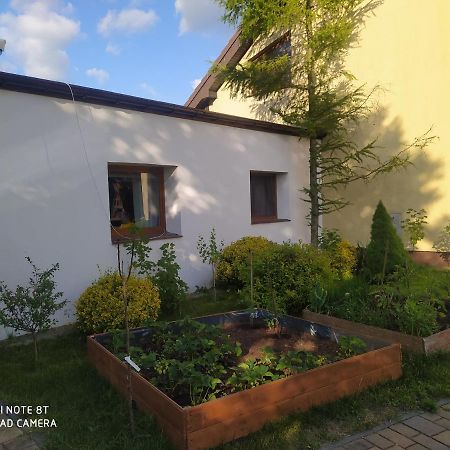 Apartament Gniezno - Mnichowo Exteriér fotografie