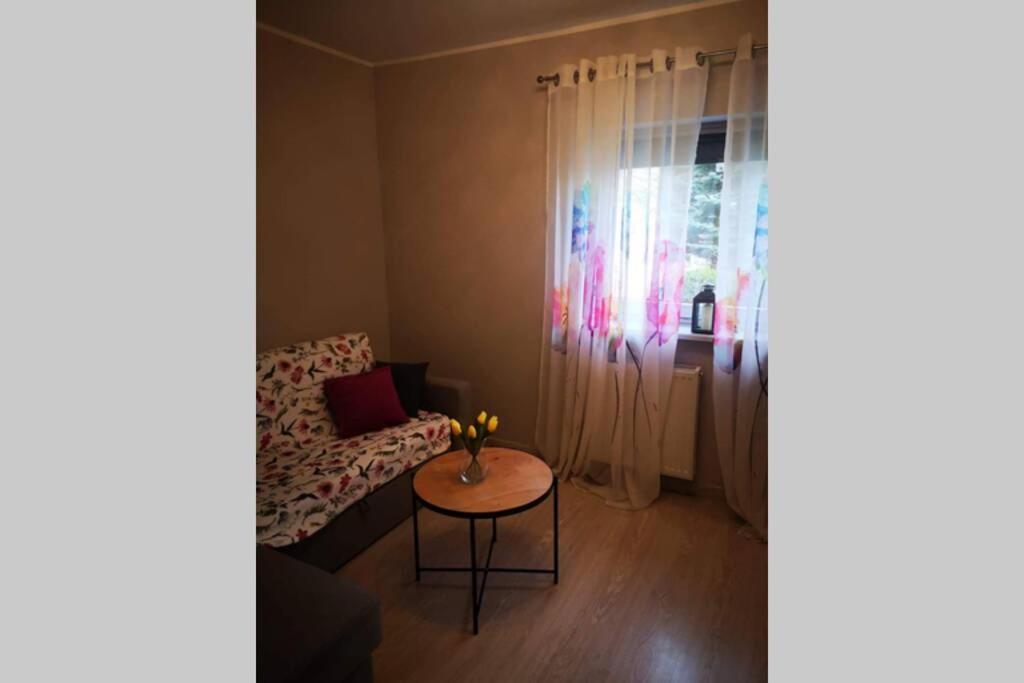 Apartament Gniezno - Mnichowo Exteriér fotografie