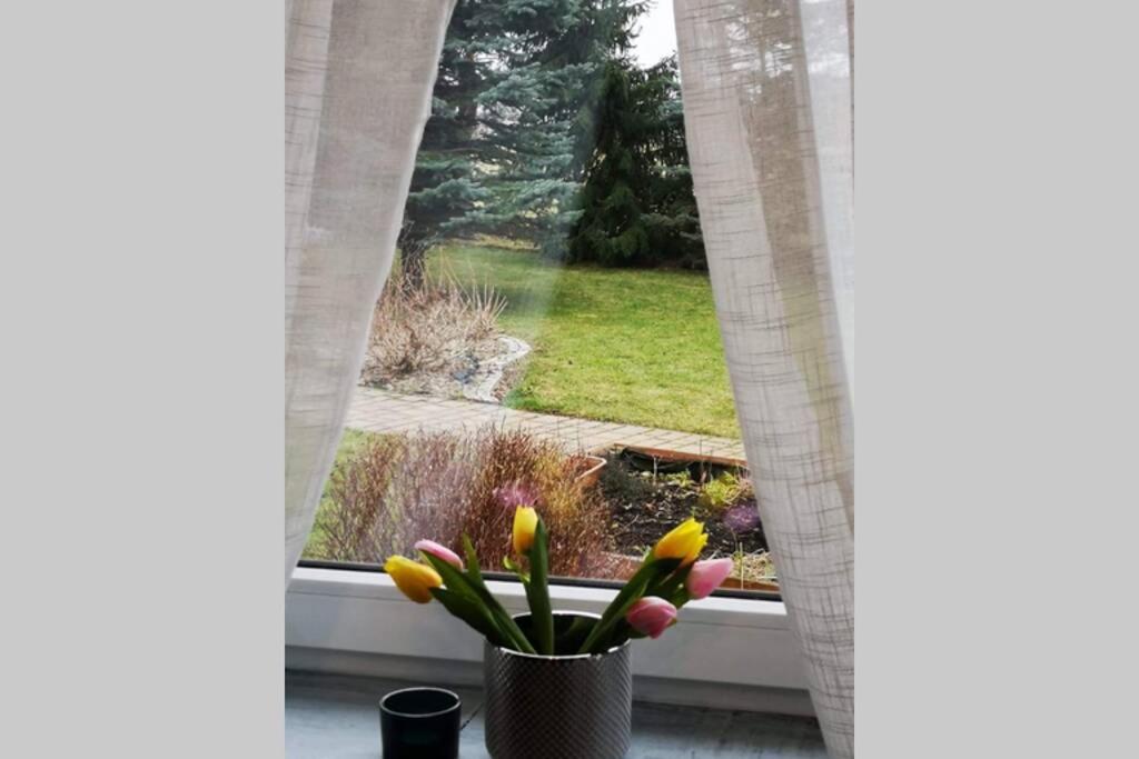 Apartament Gniezno - Mnichowo Exteriér fotografie