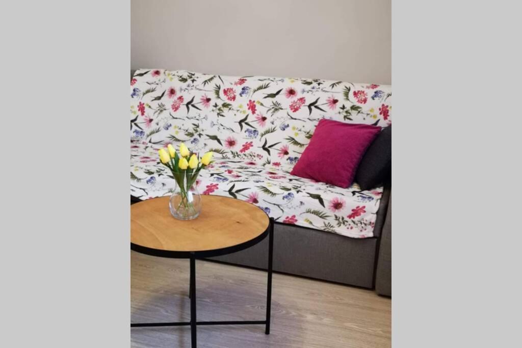 Apartament Gniezno - Mnichowo Exteriér fotografie